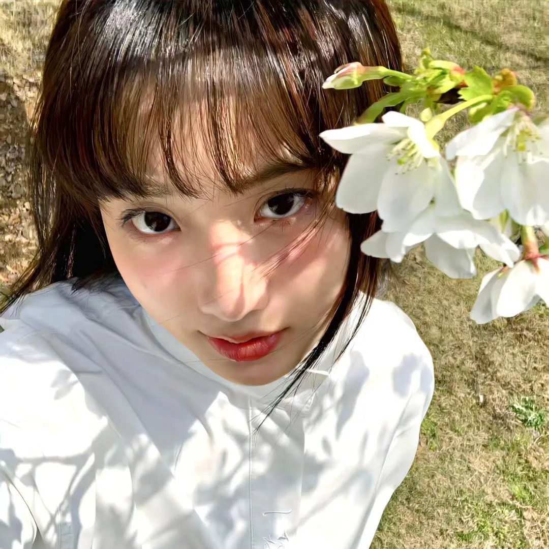 花开莱州