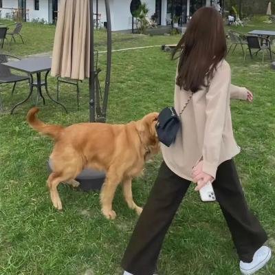 秘密指挥